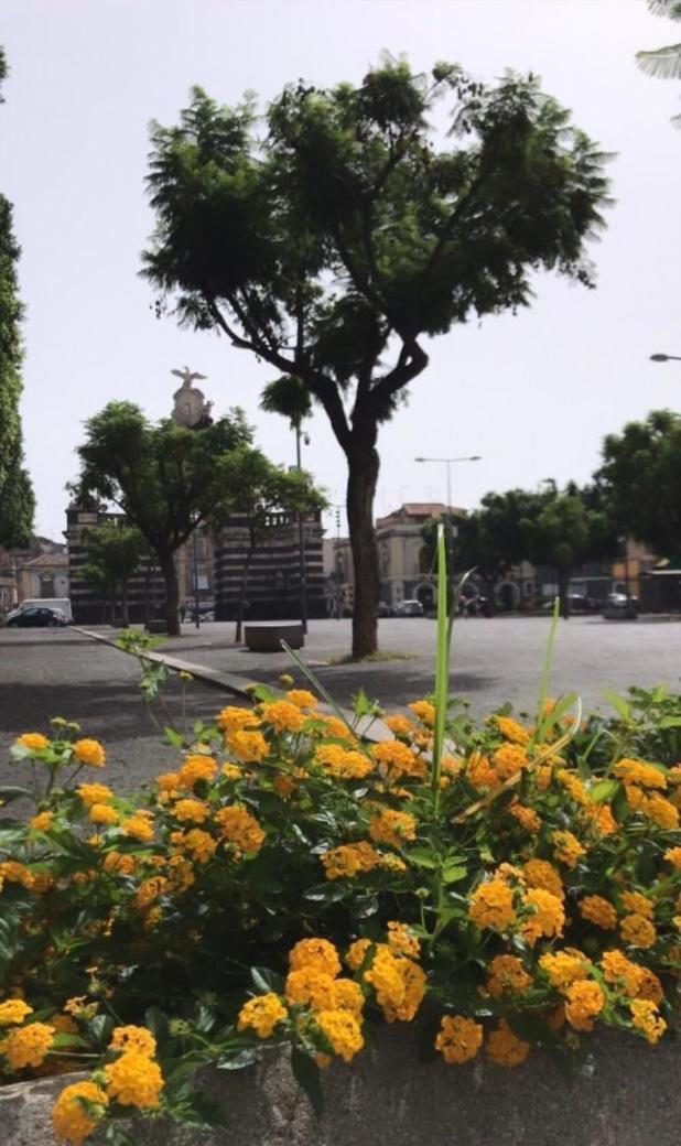Il Fortino Apartment كاتانيا المظهر الخارجي الصورة